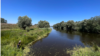 Acțiunea a avut drept scop readucerea plantelor rare în habitatele lor naturale și reabilitarea ecosistemelor mlăștinoase.  
