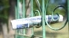 CEC a examinat în ședința din 9 iulie plângerea MAN împotriva PAS privind distribuirea unor ziare despre referendumul pro-UE.