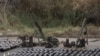 Armët e konfiskuara nga Policia e Kosovës pas sulmit të 24 shtatorit në Banjskë, 25 shtator 2023.