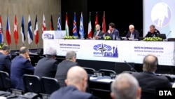 Mbledhja e Asamblesë Parlamentare të NATO-s. Sofje, 25 maj 2024. 