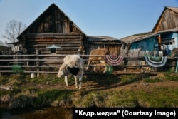 Egy farmgazdasági Kolbinszkojében 