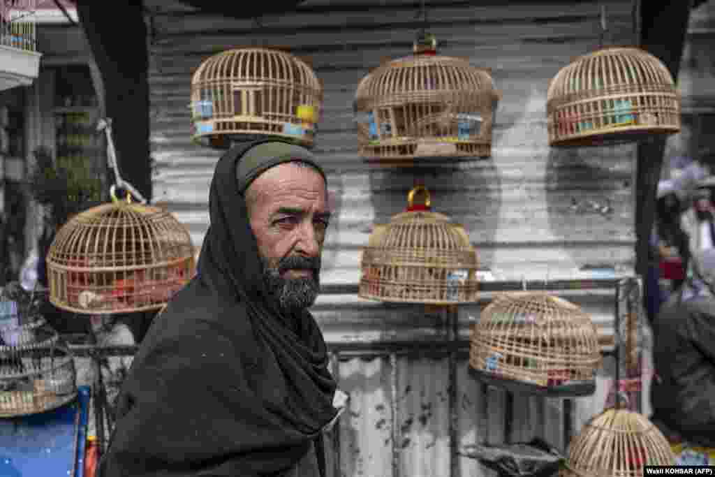 Un păsărar așteaptă clienți în piața de păsări Koch-e Kafuroshi din Kabul.