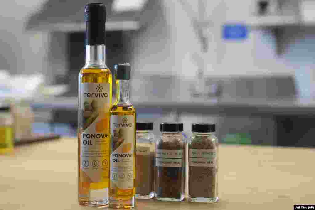 Ajo që mbetet pas nxjerrjes së vajit nga kokrra e pongamisë është “proteinë e nivelit të lartë që mund të përdoret si përbërës zëvendësues dhe në të gjitha llojet e produkteve me proteina me bazë bimore”, thotë Edwards.