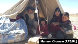کوچی‌ها