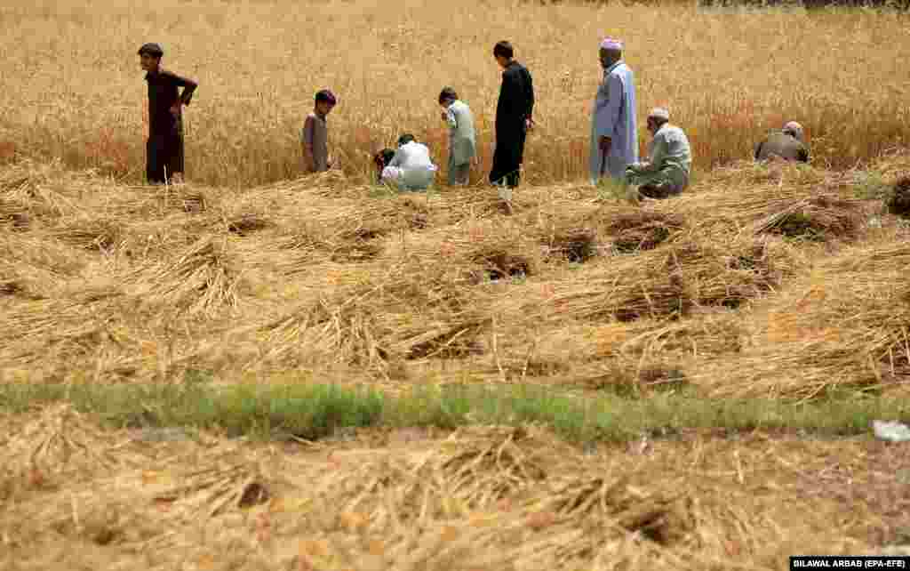 Banka Qendrore e Pakistanit rriti normën bazë të interesit për 100 pikë bazë - në 21 për qind, më 4 prill, duke i çuar kostot e huamarrjes në nivelin më të lartë që nga viti 1992. 