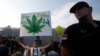 Egy tüntető egy transzparenst tart a kezében, amelyen ez áll: „A mi növényünk – a mi gyógyszerünk”. A kép a kannabisz legalizálásáért szervezett belgrádi tüntetésen készült 2015. szeptember 4-én