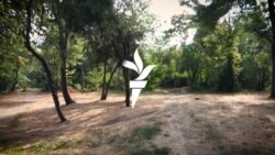Parcurile din București au ajuns într-o stare deplorabilă