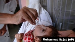 خیبر پښتونخوا کې د پولیو ضد څاڅکو ورکولو پينځه ورځنی کمپاین د اګست پر درېيمه پای ته رسېږي. انځور - ارشیف