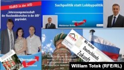 Afișe AfD 