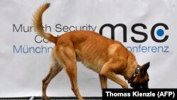 Un câine-polițist la Munchen
