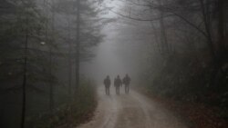 Sa kojim se problemima suočavaju migranti u BiH?