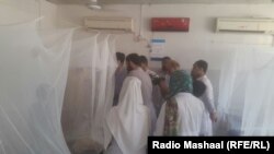 د پېښور په یو روغتون کې د ډینګي ناروغانو درملنه روانه ده. 
