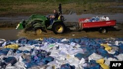 Un tractorist aduce saci cu nisip pe malul Oderului la Brzeg Dolny, în Polonia, la 21 septembrie. Viitura pe râul care se varsă în Marea Baltică se deplasează lent, iar alerta va dura mai multe zile.