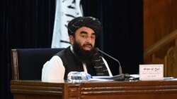 ذبیح الله مجاهد، سخنگوی حکومت طالبان