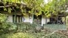 Romania comuna Ciocarlia, judet Ialomita, casa parasita