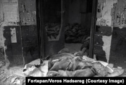 Cadavrele evreilor uciși într-o clădire din Budapesta.