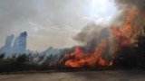 Горящая растительность, иллюстративное фото