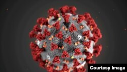 Coronavirus generic