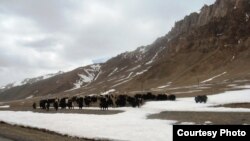 Ноҳияи Мурғоб дар матлаби журналисти чинӣ бо номи "Помир" ёд шудааст