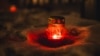 Image result for шварцэнбэрг
