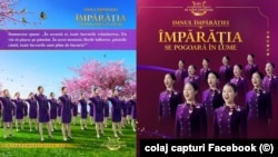 Colaj foto.