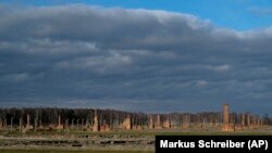 Kövekkel, botokkal és késekkel küzdöttek a cigánytábor lakói a géppisztolyos náci katonákkal 1944. május 16-án.