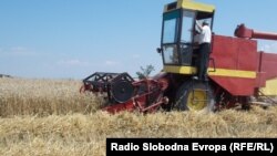 Илустрација.