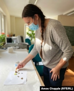 Marija Dankilov, në laboratorin e saj pranë brigjeve të lumit Danub, duke kontrolluar speciet e fluturave.