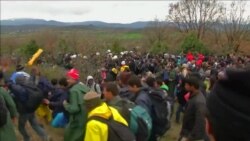 Стотици мигранти илегално влегуваат во Македонија
