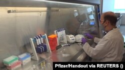 Vaksina Pfizer 