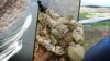 «Бояться втратити Крим». Як воює 126-а ОБрБО РФ на Херсонщині