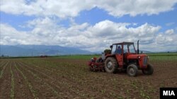 Илустративна фотографија 
